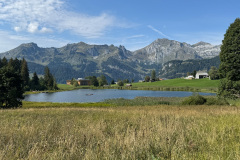 IMG_6360